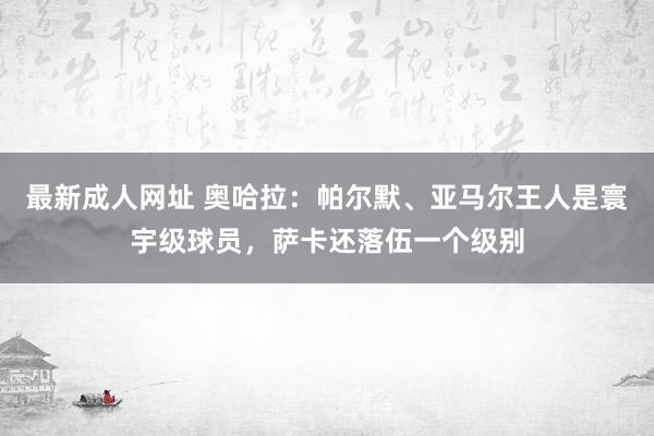 最新成人网址 奥哈拉：帕尔默、亚马尔王人是寰宇级球员，萨卡还落伍一个级别