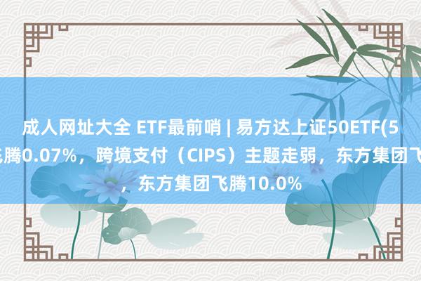 成人网址大全 ETF最前哨 | 易方达上证50ETF(510100)飞腾0.07%，跨境支付（CIPS）主题走弱，东方集团飞腾10.0%