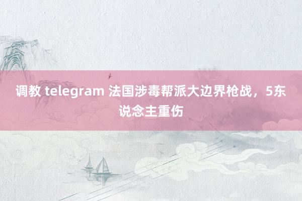 调教 telegram 法国涉毒帮派大边界枪战，5东说念主重伤