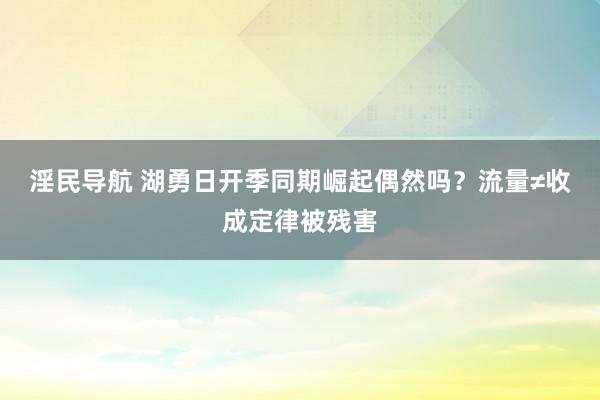 淫民导航 湖勇日开季同期崛起偶然吗？流量≠收成定律被残害