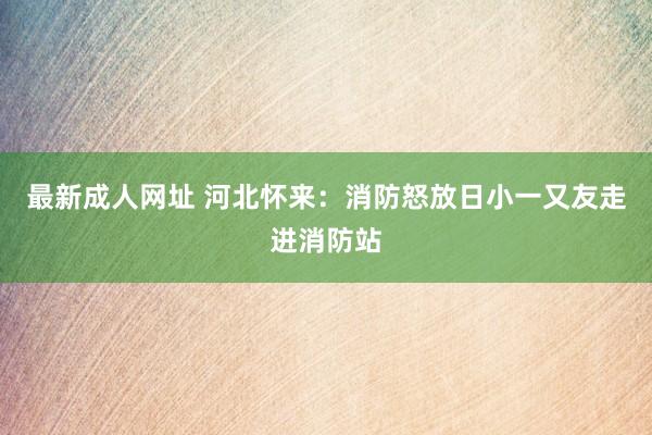 最新成人网址 河北怀来：消防怒放日小一又友走进消防站