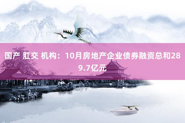 国产 肛交 机构：10月房地产企业债券融资总和289.7亿元