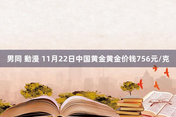 男同 動漫 11月22日中国黄金黄金价钱756元/克