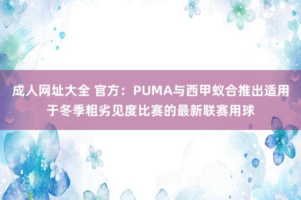 成人网址大全 官方：PUMA与西甲蚁合推出适用于冬季粗劣见度比赛的最新联赛用球