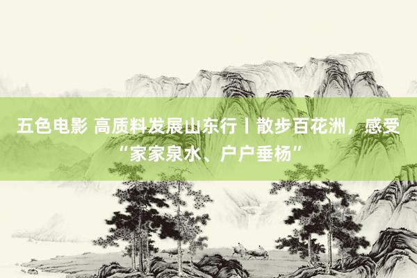 五色电影 高质料发展山东行丨散步百花洲，感受“家家泉水、户户垂杨”