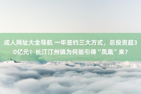 成人网址大全导航 一年签约三大方式，总投资超30亿元！长汀汀州镇为何能引得“凤凰”来？