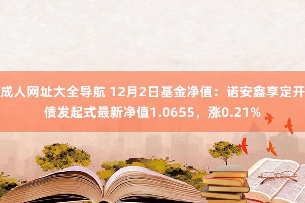 成人网址大全导航 12月2日基金净值：诺安鑫享定开债发起式最新净值1.0655，涨0.21%