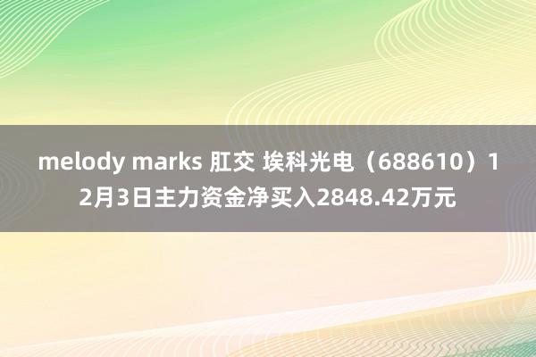 melody marks 肛交 埃科光电（688610）12月3日主力资金净买入2848.42万元