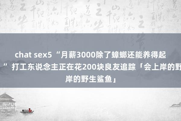 chat sex5 “月薪3000除了蟑螂还能养得起啥宠物？” 打工东说念主正在花200块良友追踪「会上岸的野生鲨鱼」