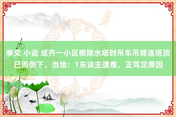 拳交 小说 成齐一小区根除水塔时吊车吊臂连塔顶已而倒下，当地：1东谈主遭难，正笃定原因