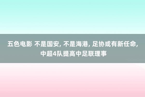 五色电影 不是国安， 不是海港， 足协或有新任命， 中超4队提高中足联理事