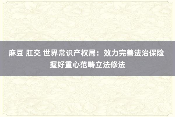 麻豆 肛交 世界常识产权局：效力完善法治保险 握好重心范畴立法修法