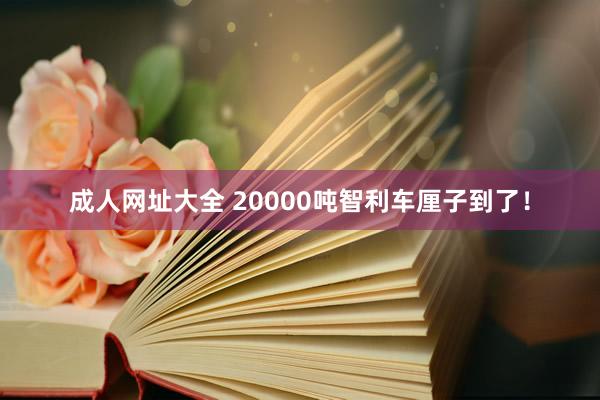 成人网址大全 20000吨智利车厘子到了！